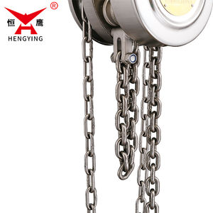 2 Ton 304 rantai tahan karat Hoist - CE bersertifikat, <span class=keywords><strong>3m</strong></span> <span class=keywords><strong>Lift</strong></span> untuk penggunaan laut - Product Image 4