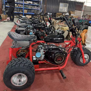 Оптовый картинг с педальным приводом, 4-тактным двигателем 212 куб. см, цепным приводом, тремя колесами, крутящим моментом 9,9 Нм, гоночный, спортивный, бензиновый, для детей, для улицы - Product Image 5