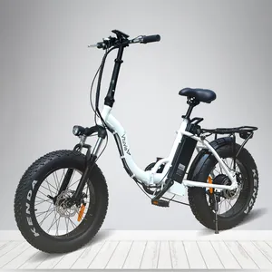 Özel 250w 750w 36V 48V e bisiklet İtalyan elektrikli bisiklet ile çıkarılabilir pil shimano 7 hız yağ lastik elektrikli katlanır bisiklet sma