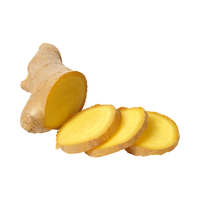 Nous sommes spécialisés dans l'exportation de 1 kg de gingembre et d'ail frais du Vietnam à des prix compétitifs.