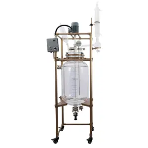 300 L Lifting Chemical Two-Layer Jacketed Glass Reactor In Vessel Types Of Stirrer
