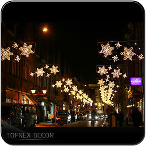 Toprex декор, оптовая продажа, уличные беспроводные украшения, светодиодные Рождественские огни, флагшток - Product Image 3