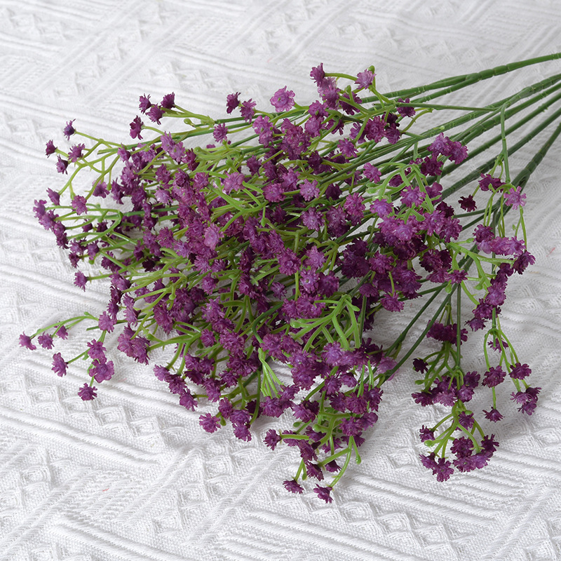 Violet foncé