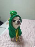 Sweat-shirt pour chien et chat de Noël avec capuche en peluche Père Noël ou sapin, vêtements chauds d'hiver pour chiens de petite et moyenne taille XS-XXL