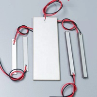 Vibrateur piézoélectrique personnalisé, plaque de capteur Pzt4, plaque en céramique piézoélectrique rectangulaire