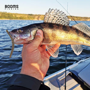 10 Uds gusano Senko 5,1 pulgadas/130mm cuerpo de cebo salado suave trampa para peces eficiente goma de silicona WL1 cebo de pesca de gusano señuelos blandos - Product Image 4