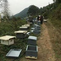 3-stöckiger Stapelbarer Kunststoff-Bienenstock |   Lebensmittelechtes PP + UV-Stabilisator |   Kommerzieller Bienenstock für Nachhaltige Imkerei