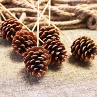 Grosir Pabrik pinecone alami kualitas tinggi untuk ornamen natal properti menembak bunga kering