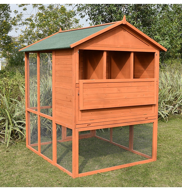 pigeon loft with aviary
