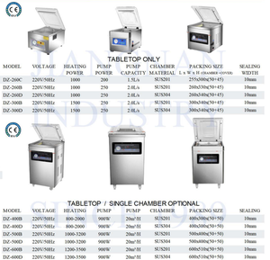 Machine d'emballage sous vide automatique DZ260B certifiée CE pour aliments viande en acier inoxydable - Product Image 3