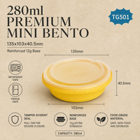 Conteneur alimentaire jetable TeGuan durable en PP de qualité alimentaire, inviolable, avec fermeture sécurisée, compatible micro-ondes, 10 oz, boîte de préparation de repas moderne multi-usage