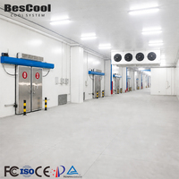Chambre froide modulaire à commande intelligente de grande capacité (5000 tonnes) pour la chaîne du froid et les centres de distribution d'aliments frais