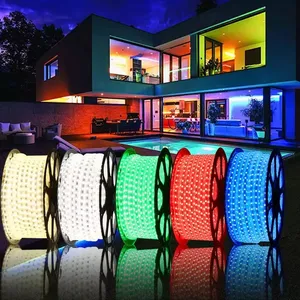 Đèn Chống Nước IP67 Băng Ruy Băng Led Linh Hoạt Điều Khiển Từ Xa 5050 RGB AC 240V 60LEDs/M Trang Trí Ngoài Trời Dải LED 220V 230V