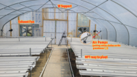 Serre agricole Baolida à simple travée, grande structure en PE, pour la production de laitues en hydroponie