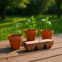 Set Kebun Herbal Rustic Herms dengan Mint, Peterseli, dan Basil dalam Pot Terakota Tanpa Lapisan untuk Penggunaan di Rumah & Luar Ruangan, Buatan Italia