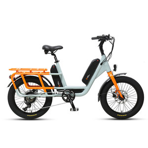 Vélo de livraison électrique TXED 48V/250W avec moteur de moyeu arrière sans balais, batterie au lithium 2x10.4Ah, cadre en aluminium, frein à disque hydraulique - Product Image 2