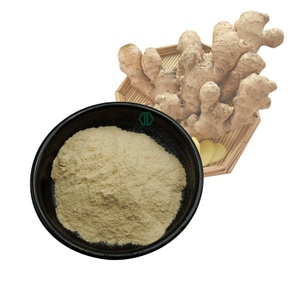 Đóng băng/phun khô nguyên gừng gốc bột có thể uống được giá thấp Gừng hữu cơ bột - Product Image 4