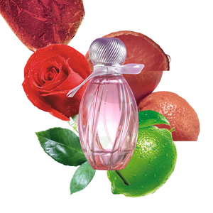 <span class=keywords><strong>Parfum</strong></span> féminin en gros avec logo personnalisé, <span class=keywords><strong>parfum</strong></span> floral pour femmes 100ml, vaporisateur, marque ZuoFun - Product Image 6