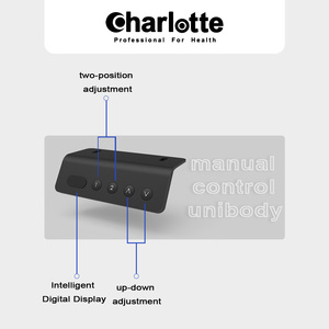 Marco de escritorio eléctrico de altura ajustable de doble motor IR20F del fabricante <span class=keywords><strong>Charlotte</strong></span> Desk Home Office Solution - Product Image 4