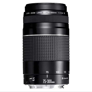 Objectif d'appareil photo d'occasion original en gros à prix abordable, objectif EF-S 75-300mm 1:4-5.6 - Product Image 5