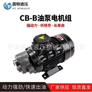 Pompe à engrenages hydraulique Int Hydraulic Cb-B 370W 220V 380V à entraînement direct pour système hydraulique - Product Image 4