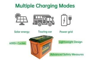 แบตเตอรี่ลิเธียมไอออนสำหรับบ้าน 12v 24v 300ah ขายส่ง ชุดแบตเตอรี่ลิเธียมไอออน 24v 100ah 200ah 280ah แบตเตอรี่โซลาร์ 24v รุ่น DT12-100/200/300 ลิเธียมไอรอน - Product Image 5