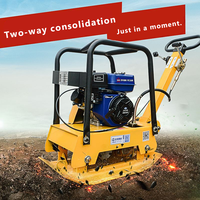 Compacteur vibrant avant réversible Lu Chang Electric 3kW 4kW avec moteur haute efficacité Loncin pour sable