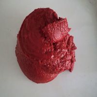 Pâte de tomate en conserve directe de haute qualité, fraîche et délicieuse avec une concentration de 28 à 30%