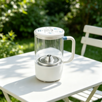 Gobelet à ozone rechargeable en plastique/verre, purificateur d'eau à ozone, marque privée OEM, dropshipping, logo personnalisé, expédition mondiale en gros