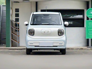 奔腾马灵龙马汽车纯电动汽车新能源车100公里/小时高速3门4座迷你车中国制造 - Product Image 2