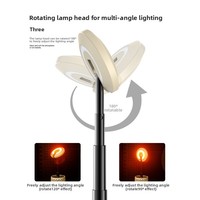 Lampe LED Rétractable de Camping et Pique-nique Nouveau Style, Vente en Gros et au Détail, Contrôle par Bouton, 3.7V, Étanche IP44, Intensité Variable, Chargement Type-C