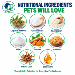 Compléments Masticables Souples pour Articulations Canines – Glucosamine, MSM, Curcuma, Huile de Chanvre – Mobilité & Flexibilité pour Chiens de Tous Âges – Marque Privée Personnalisée OEM - Product Image 2