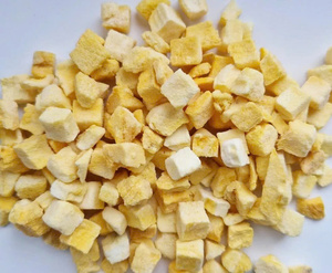 High Quality New Top OEM/ODM Bulk Sliced FD Vietnam Slice <b>Dice</b> 100% Natural Mango Use eat directly In Bulk Vacuum Pack - Product Image 3