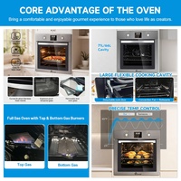 Four à gaz encastrable de haute qualité pour la cuisine et la pâtisserie à domicile, 71L 66L 60cm, brûleurs à gaz supérieurs et inférieurs, en acier inoxydable