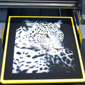 Máy In Phẳng UV Đa Năng A2 6090 Giá Xuất Xưởng Máy In Nhãn Dán Phim Truyền DTF Có Véc Ni - Product Image 5