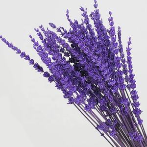 Flores decorativas preservadas <span class=keywords><strong>lavanda</strong></span> flor estabilizada <span class=keywords><strong>lavanda</strong></span> - Product Image 5