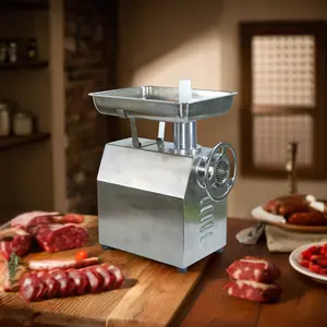 HORUS High Quality Meat Grinder Butcher Meat Grinder At A Cheap Price For Frozen Meat Grinding