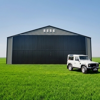 Hangar d'avion préfabriqué à grande portée en structure acier pour atelier de maintenance d'avions