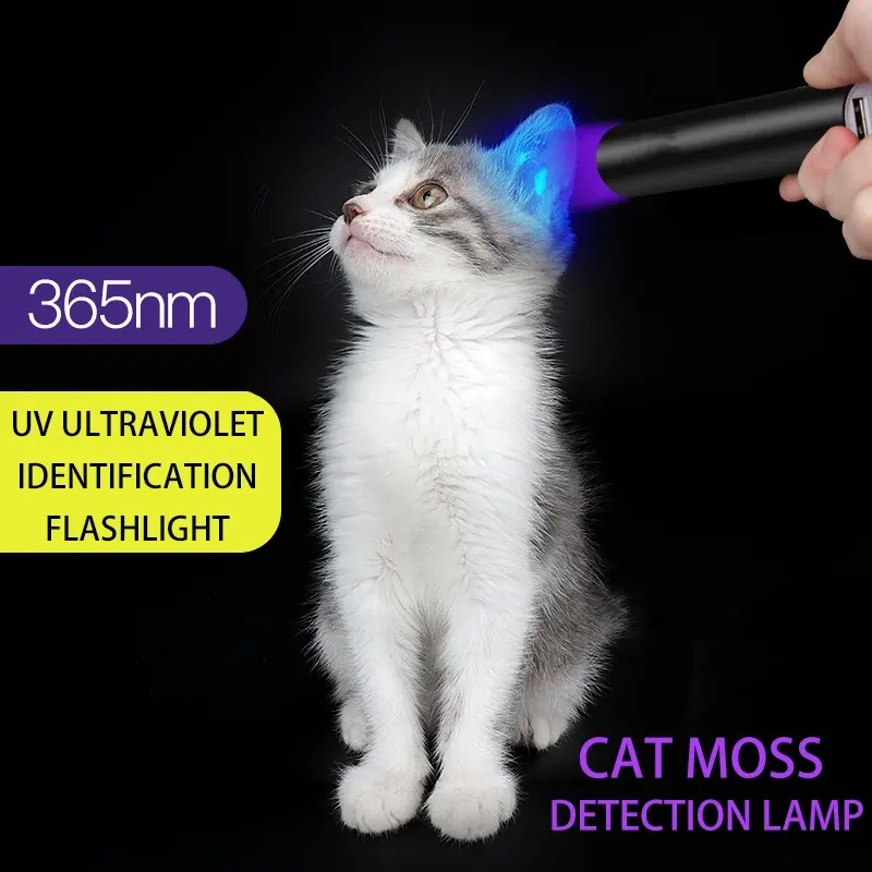 מיני USB נטענת UV אור Led פנס עמיד למים אלומיניום סגסוגת 365NM לחיות מחמד כלב חתול שתן כסף UV גלאי סגול אור
