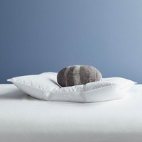Usine En Gros Hiver Doux Confortable De Luxe Oie 95% Duvet 5% Plume Oreiller