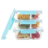 Full Partition 2 Compartments Glass Food Container Tiffin Lunch Box Microwave Oven Safe Borosilicate Heat Resistant Glass