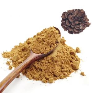 순수 천연 그리폴라 프론도사 추출물/마이타케 버섯 추출물 분말 10%-50% 다당류 - Product Image 2