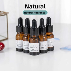 Rentable 10ml Hôtel Huile Essentielle Aromathérapie Chambre Lavande Plante Encens Soluble Dans L'eau Humidificateur Reed Diffuseur - Product Image 2
