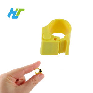 F-007 8Mm Aangepaste Pom Laser Gegraveerde Vogels Beenbanden Met Papegaaienvoet Tag Voor Vogels En Duiven - Product Image 1