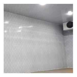 <span class=keywords><strong>Prix</strong></span> d'usine <span class=keywords><strong>Chambre</strong></span> <span class=keywords><strong>froide</strong></span> commerciale Congélateur rapide Conteneur de congélation 40Ft 20Ft 10Ft <span class=keywords><strong>Chambre</strong></span> <span class=keywords><strong>froide</strong></span> avec panneau d'unité de réfrigération - Product Image 3