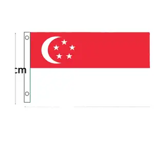 Bendera kampanye skala besar langsung dari pabrik bendera nasional berbagai negara termasuk Singapura untuk perayaan festival