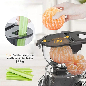 Chất Lượng Hàng Đầu Sản Xuất Trái Cây Toàn Bộ <span class=keywords><strong>Apple</strong></span> Lớn Rộng Miệng Chậm Báo Chí Lạnh Máy Ép Trái Cây Sản Xuất Nước Trái Cây Vắt Máy Xay Sinh Tố Juicers - Product Image 4