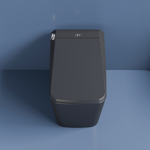Полностью автоматический электрический биде Siphonic Flush, черный умный туалет - Product Image 6