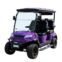 Voiturette de golf électrique marron, véhicule utilitaire 3 à 4 places, carrosserie en aluminium, patrouille communautaire personnalisée