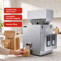 Machine de remplissage double tête pour poudre de café et granulés, idéale pour les petites entreprises et le conditionnement en sachets de petits formats